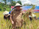 Pemkot-Pagar-Alam-Aktifkan-Pusat-informasi-Demi-Kontrol-Harga-Komiditi-Sayur-Atur-Jenis-Tanaman.jpg