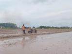 Petani-Bukit-Napuh-OKU-Timur-Resah-Padi-Diserang-Hama-Modal-Membengkak-Berpotensi-Gagal-Panen.jpg