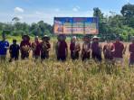 Petugas-Lapas-Kelas-IIB-Empat-Lawang-saat-gelar-panen-padi-perdana.jpg