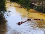 Pipa Medco Bocor di Sungai Ibul PALI, Tumpahan Minyak Mentah Cemari Sungai Penukal, Warga Resah