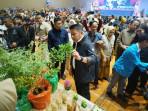 Program-Muatan-Lokal-Mulok-Kemandirian-Pangan-di-tingkat-SMA-dan-SMK.jpg