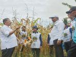 Pusri-Beri-Kawalan-Budidaya-Kewirausahaan.jpg
