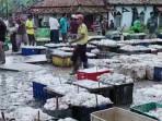 Rincian-Harga-Karet-di-Kabupaten-OKI-Hari-ini-Senin-29-September-2025-Petani-Bersyukur-Ada-Kenaikan.jpg