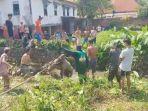 Sapi Kurban di Palembang Lepas, Ngamuk Sampai Masuk ke Sungai, Dievakuasi 20 Pria Hingga 1,5 Jam