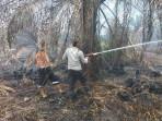 Sepanjang-2025-BPBD-Catat-665-Titik-Hotspot-di-Muara-Enim-Terbaru-Lahan-Seluas-7-Hektare-Terbakar.jpg