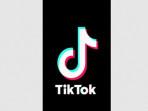 Trend-Tiktok-Foto-dan-Nantikan-Lagu-Terbaik-Pilihan-untuk-Mengetahui-Apakah-Kita-CantikGanteng.jpg
