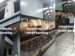 Viral-Pria-Bangun-Rumah-Mewah-Kandang-Domba-di-Banjarnegara-Habiskan-RP-500-Juta-Karena-Raih-Untung.jpg