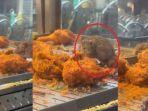 Viral-tikus-di-dalam-etalase-ayam-goreng-di-sebuah-rumah-makan.jpg