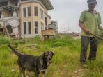 anjing-dan-si-kakek_20170504_162716.jpg