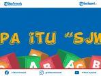 apa-itu-sjw-kata-gaul-yang-sering-digunakan-netizen-ternyata-ini-artinya.jpg