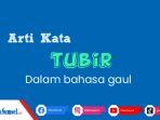 apa-itu-tubir-dalam-bahasa-gaul-kata-populer-di-twitter-ini-artinya-milenial-harus-tau.jpg