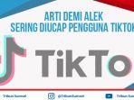 arti-demi-alek-sering-diucap-pengguna-tiktok.jpg