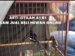 arti-istilah-A1-B1-dan-seterusnya-dalam-jual-beli-hewan-melalui-online.jpg