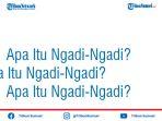 arti-ngadi-ngadi-istilah-kekinian-yang-populer-di-media-sosial-twitter-dan-instagram.jpg