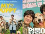 berikut-sinopsis-dan-jadwal-tayang-bioskop-film-korea-my-puppy-akan-segera-tayang-di-bioskop.jpg