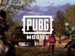 cara-ganti-nickname-pubg-mobile-serta-daftar-nama-nama-kerennya.jpg