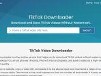 cara-mudah-menyimpan-video-tiktok-hanya-copas-link-ke-website-save-tiktok-ikuti-langkah-berikut.jpg