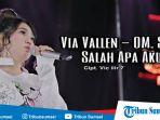 download-lagu-mp3-via-vallen-salah-apa-aku-cover-ilir-7.jpg
