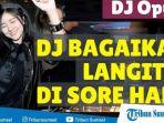 download-unduh-lagu-bagaikan-langit-dj-opus-remix-mp3-dengan-lirik-dan-video-klipnya.jpg