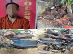 Kepergok Sedang Angkut Buah Sawit Hasil Curiannya, Pria di Pali Ditangkap Polisi, Dua Rekannya Kabur