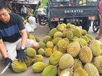 durian-di-pagaralam-minggu.jpg
