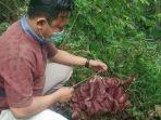 febri-saat-menunjukan-bunga-bangkai.jpg