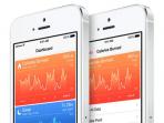ilustrasi-aplikasi-health-pada-iphone_20150611_112902.jpg