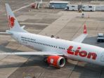 ilustrasi-maskapai-lion-air_20181029_201026.jpg