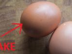 ilustrasi-telur-palsu_20170427_095015.jpg