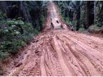 jalan-penghubung-antar-desa-di-kecamatan-rawas-ilir-kabupaten-muratara-berlumpur.jpg