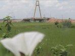 jembatan-pesona-tanjung-senai-indralaya-senin.jpg