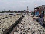 jemur-ikan-asin-palembang.jpg