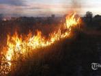 jumlah-titik-panas-meningkat-di-riau-warga-memadamkan-kebakaran-hutan_20160903_094316.jpg