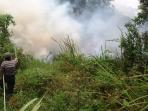 kebakaran-lahan-jakabaring_20151008_134124.jpg