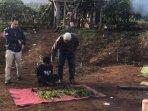 ladang-ganja-di-pagaralam-jumat-siang.jpg