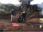 ladang-ganja-dikawasan-kecamatan-dempo-tengah.jpg