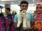 lomba-kucing-palembang-icon-2016_20160515_190045.jpg