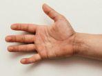 lustrasi-jari-tangan.jpg