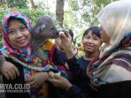 musang-yang-dianggap-musuh-ternyata-bisa-jinak-dan-dipelihara-lazimnya-anjing-atau-kucing.jpg
