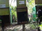 pelepasan-owa-siamang-di-suaka-margasatwa-sm-dangku-muba.jpg