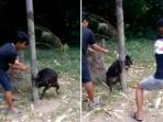 pemuda-bali-siksa-anjing_20150530_201949.jpg