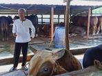 penjual-hewan-kurban-di-oki-mengeluh-belum-ada-pembeli.jpg