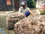 petani-karet-di-pali-2-juni.jpg