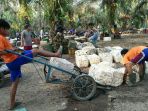 petani-karet-pali_20180313_192357.jpg
