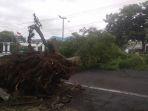 pohon-tumbang-di-depan-rumdin-wakil-bupati-lahat.jpg