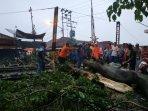 pohon-tumbang-timpa-rel-kereta.jpg