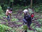 polisi-memeriksa-ladang-ganja-di-pagaralam.jpg
