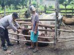 polsek-muaradua-himbau-warga.jpg