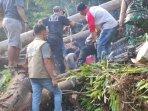 proses-evakuasi-korban-ditimpa-pohon.jpg