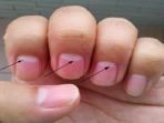 sabit-kuku_20161229_114457.jpg